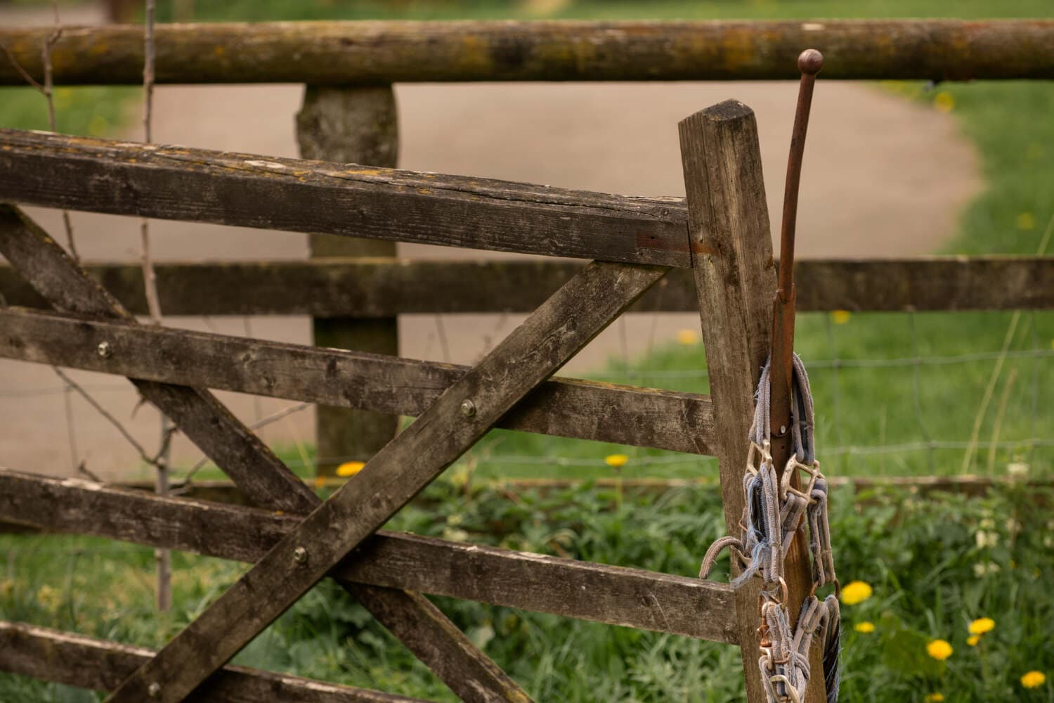 WeCycle blog: How to Remove a Fence: A Complete Beginner’s Guide
